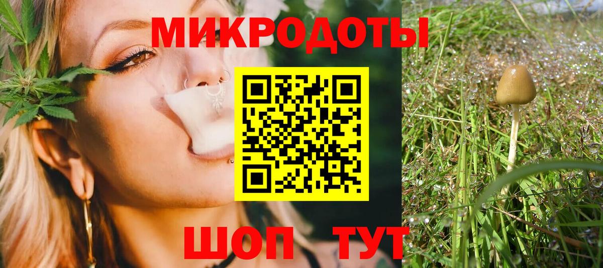 Псилоцибиновые грибы Cubensis Новочебоксарск