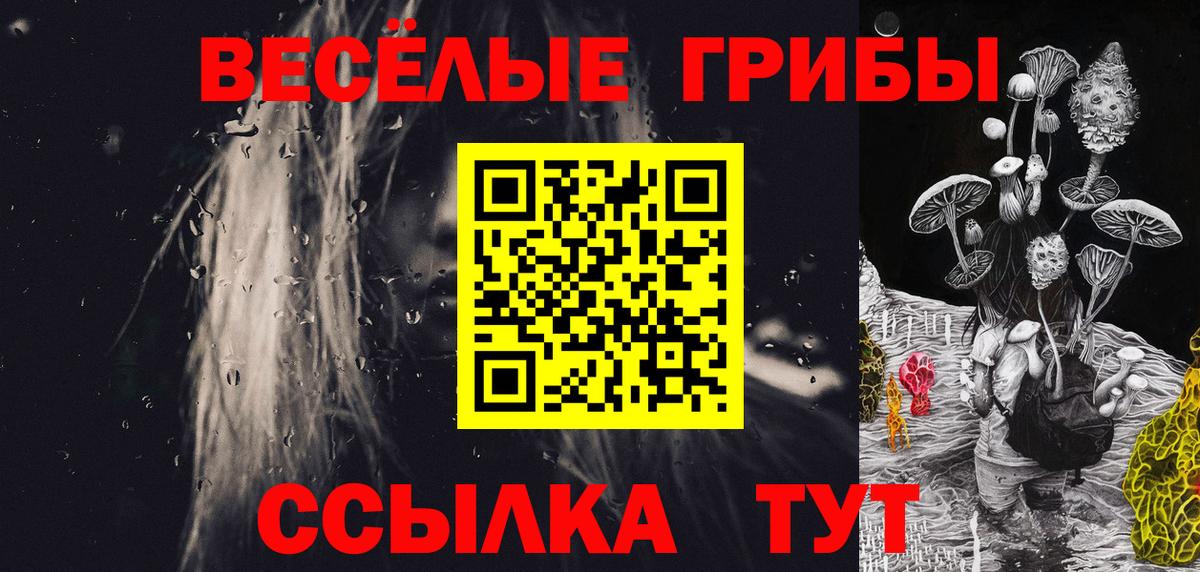 Псилоцибиновые грибы Cubensis  Вход с VPN  Псилоцибиновые грибы мухоморы  Новочебоксарск 